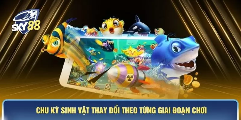 Chu kỳ sinh vật thay đổi theo từng giai đoạn chơi