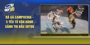 Đá Gà Campuchia - 5 Yếu Tố Vận Hành Sảnh Thi Đấu SKY88