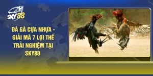 Đá Gà Cựa Nhựa - Giải Mã 7 Lợi Thế Trải Nghiệm Tại SKY88