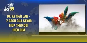 Đá gà Thái Lan - 7 Cách Của SKY88 Giúp Theo Dõi Hiệu Quả