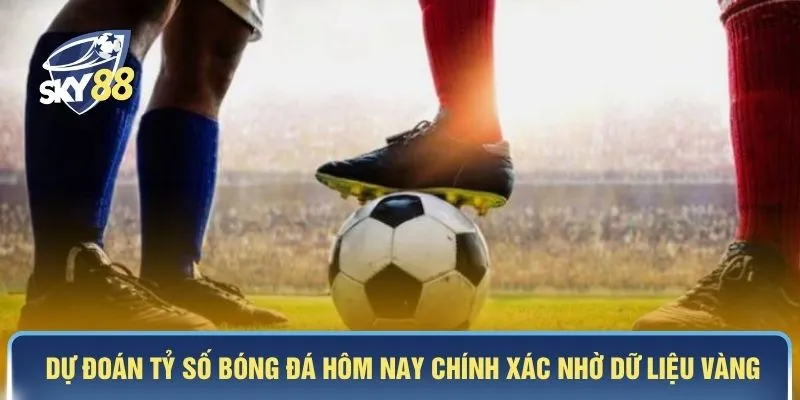 Dự đoán tỷ số bóng đá hôm nay chính xác nhờ dữ liệu vàng