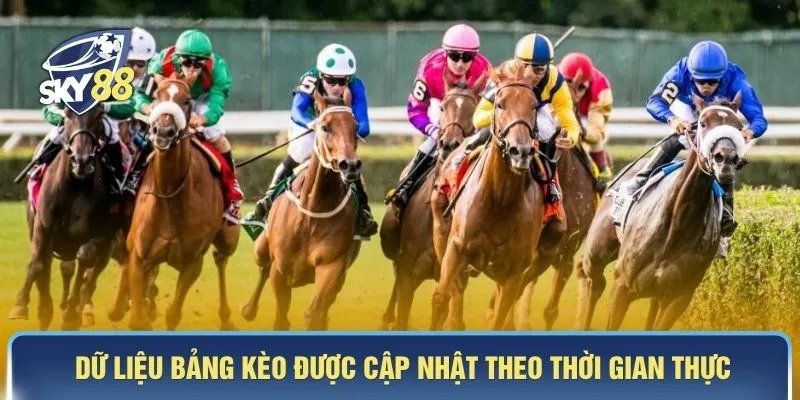 Dữ liệu bảng kèo được cập nhật theo thời gian thực