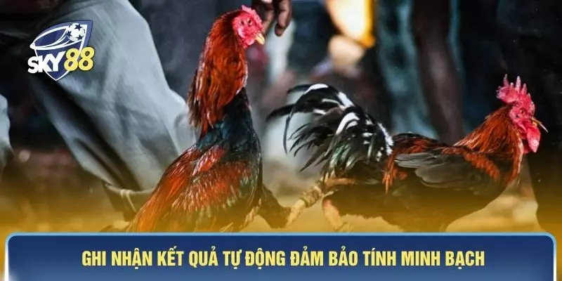 Ghi nhận kết quả tự động đảm bảo tính minh bạch