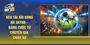 Kèo Tài Xỉu Bóng Đá SKY88 - Bảng Cược Từ Chuyên Gia Châu Âu