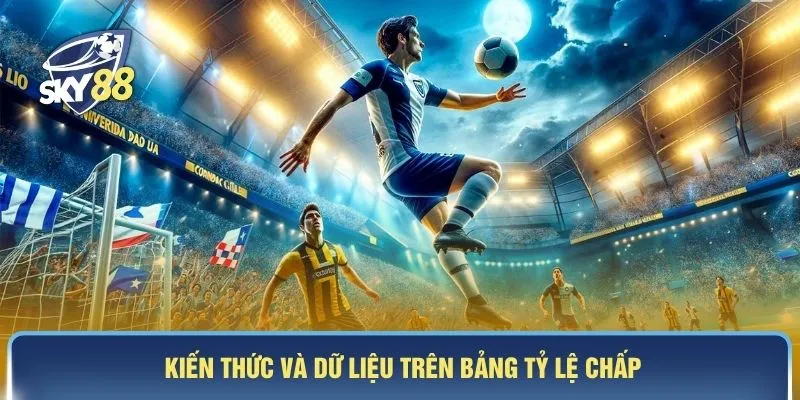 Kiến thức và dữ liệu trên bảng tỷ lệ chấp