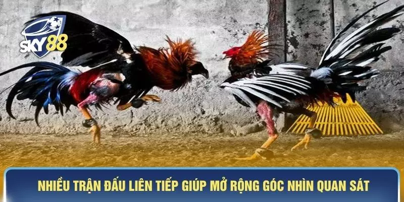 Nhiều trận đấu liên tiếp giúp mở rộng góc nhìn quan sát