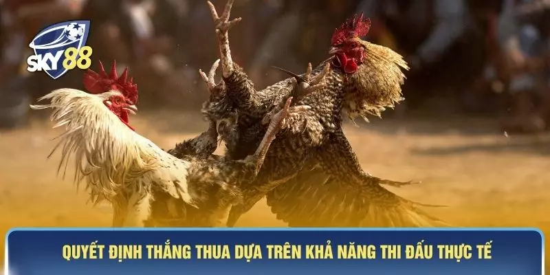 Quyết định thắng thua dựa trên khả năng thi đấu thực tế