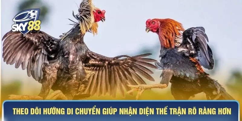 Theo dõi hướng di chuyển giúp nhận diện thế trận rõ ràng hơn