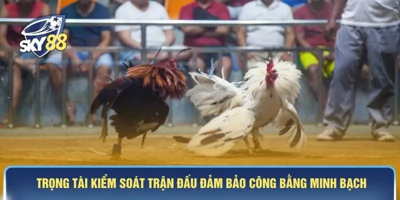 Trọng tài kiểm soát trận đấu đảm bảo công bằng minh bạch