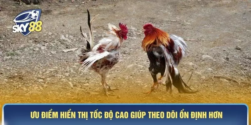 Ưu điểm hiển thị tốc độ cao giúp theo dõi ổn định hơn
